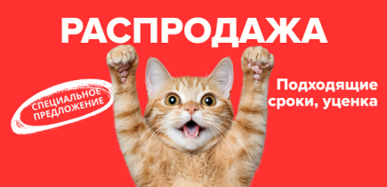 РАСПРОДАЖА